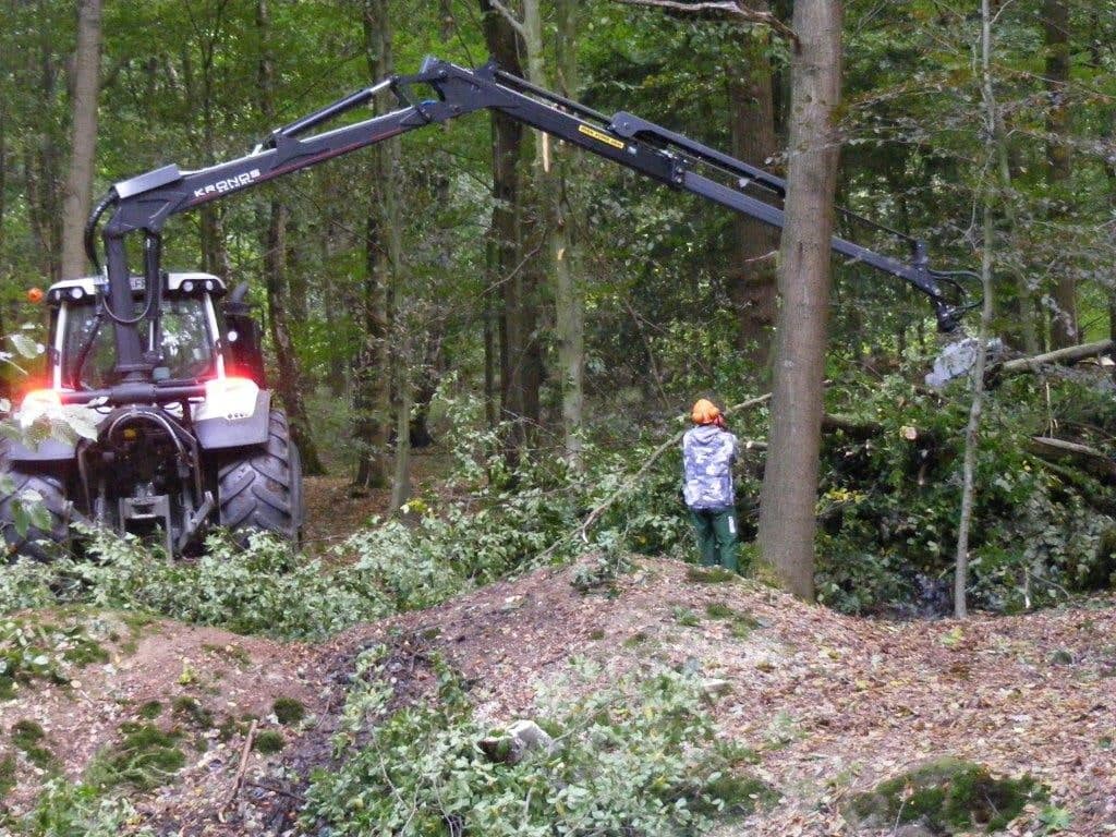 Forstarbeiten und Landschaftspflege von Freistil Gärten